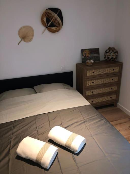 Appartement Cosy-Grand Stade Villeneuve D'Ascq Lezennes Zewnętrze zdjęcie