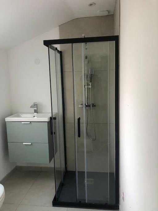 Appartement Cosy-Grand Stade Villeneuve D'Ascq Lezennes Zewnętrze zdjęcie