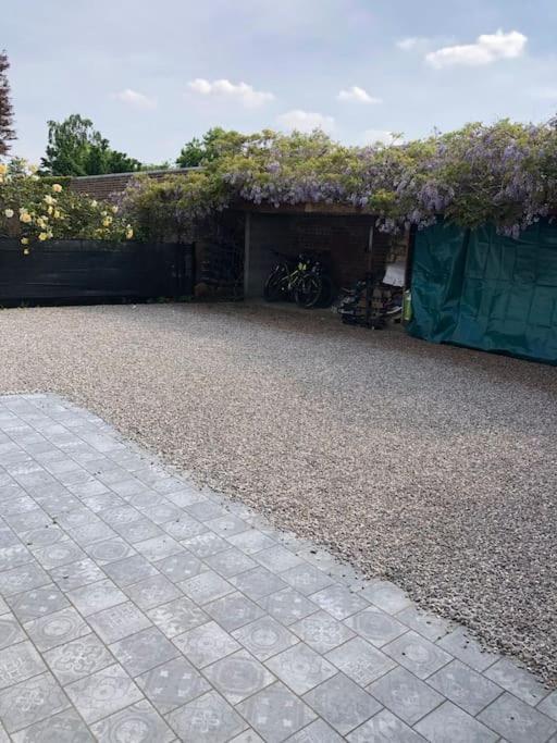 Appartement Cosy-Grand Stade Villeneuve D'Ascq Lezennes Zewnętrze zdjęcie
